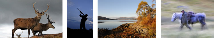 ardnamurchan