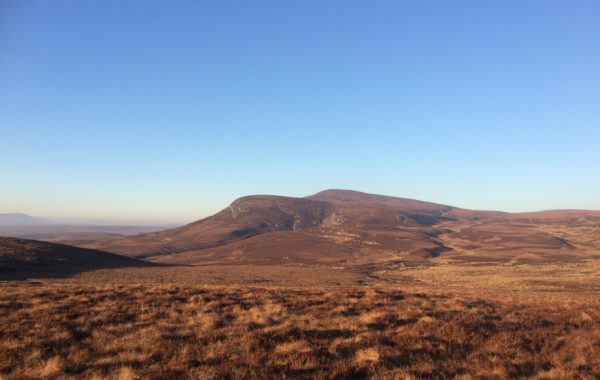 Gordonbush Estate