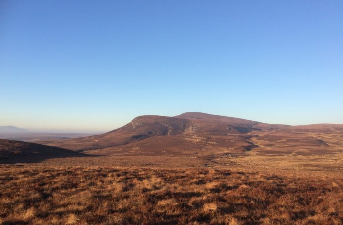 Gordonbush Estate