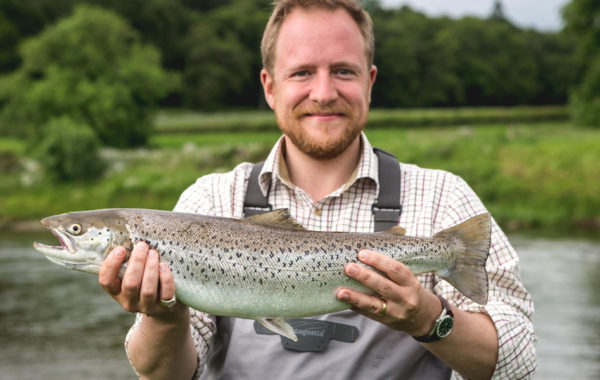 Sea trout