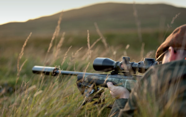 Extended Range Culling Course