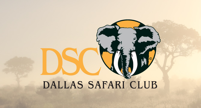 DSC CONVENTION, USA