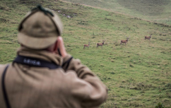Deer Management