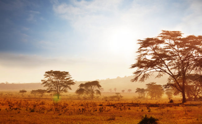 whh_we_offer_th_africa_1024x600px