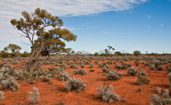 whh_we_offer_th_aus_1024x600px