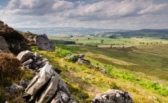 whh_we_offer_th_uk_1024x600px